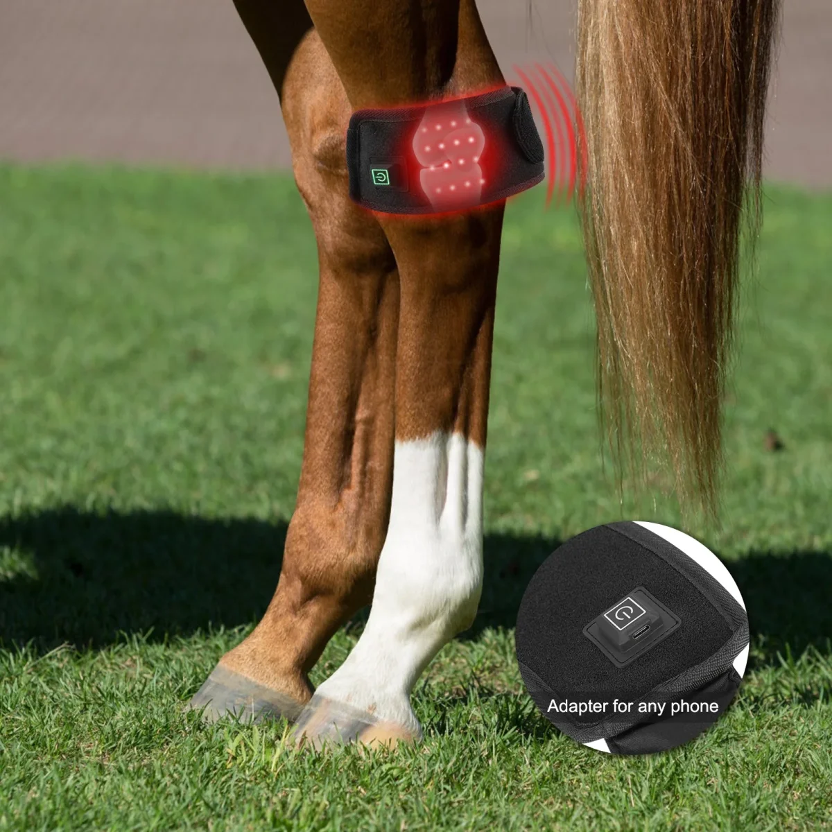 AnoKath® LEG 50 Rotlichtglocke Pferd – 2 Stück, Rot & Infrarot – Bild 6